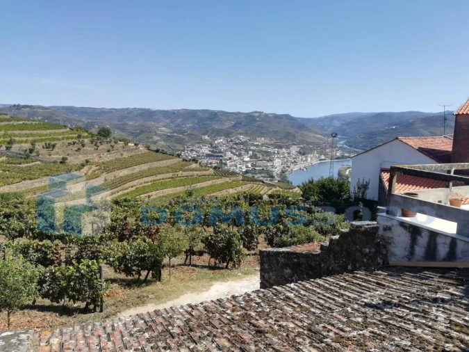 Quinta para Venda em Peso da Régua e Godim Foto 3