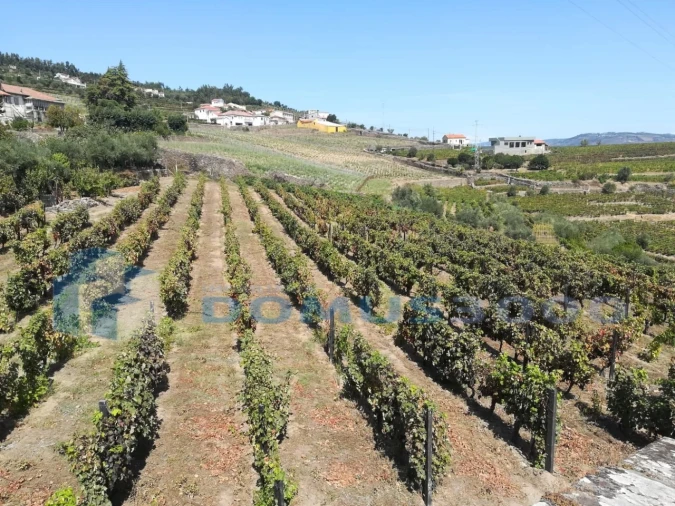 Quinta para Venda em Peso da Régua e Godim Foto 6