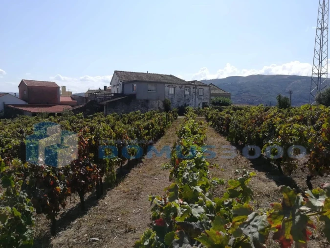 Quinta para Venda em Peso da Régua e Godim Foto 8