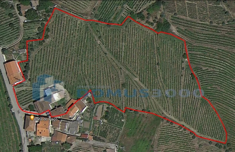 Quinta para Venda em Peso da Régua e Godim Foto 9