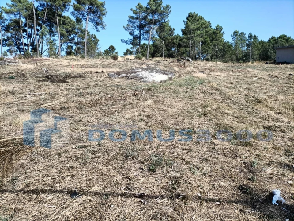 Terreno para Arrendamento em Mouçós e Lamares Foto 5