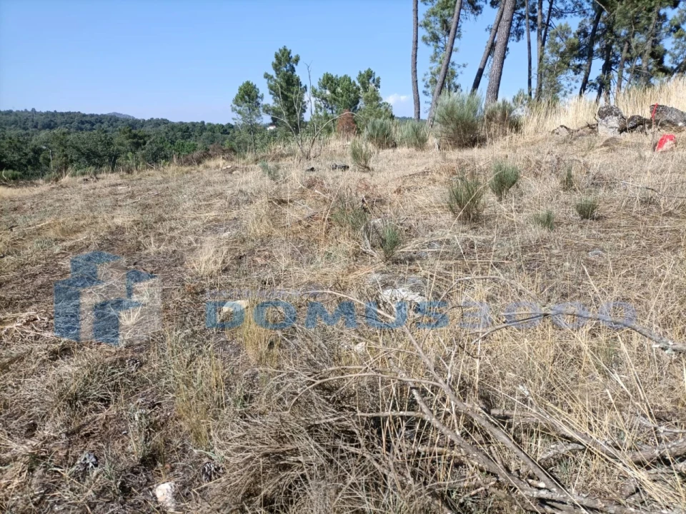 Terreno para Arrendamento em Mouçós e Lamares Foto 9