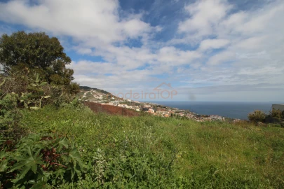 Terreno para Venda em Caniço