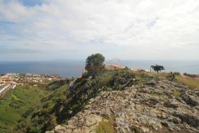 Terreno para Venda em Caniço