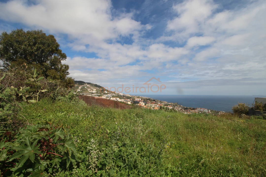 Terreno para Venda em Caniço Foto 1