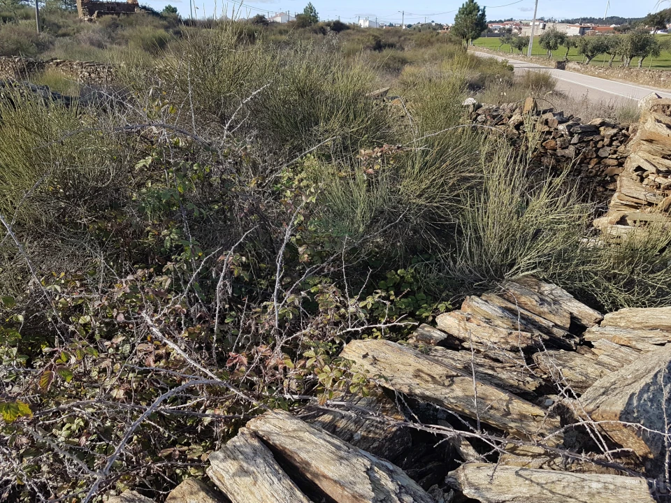Terreno para Venda em Cebolais de Cima e Retaxo Foto 7