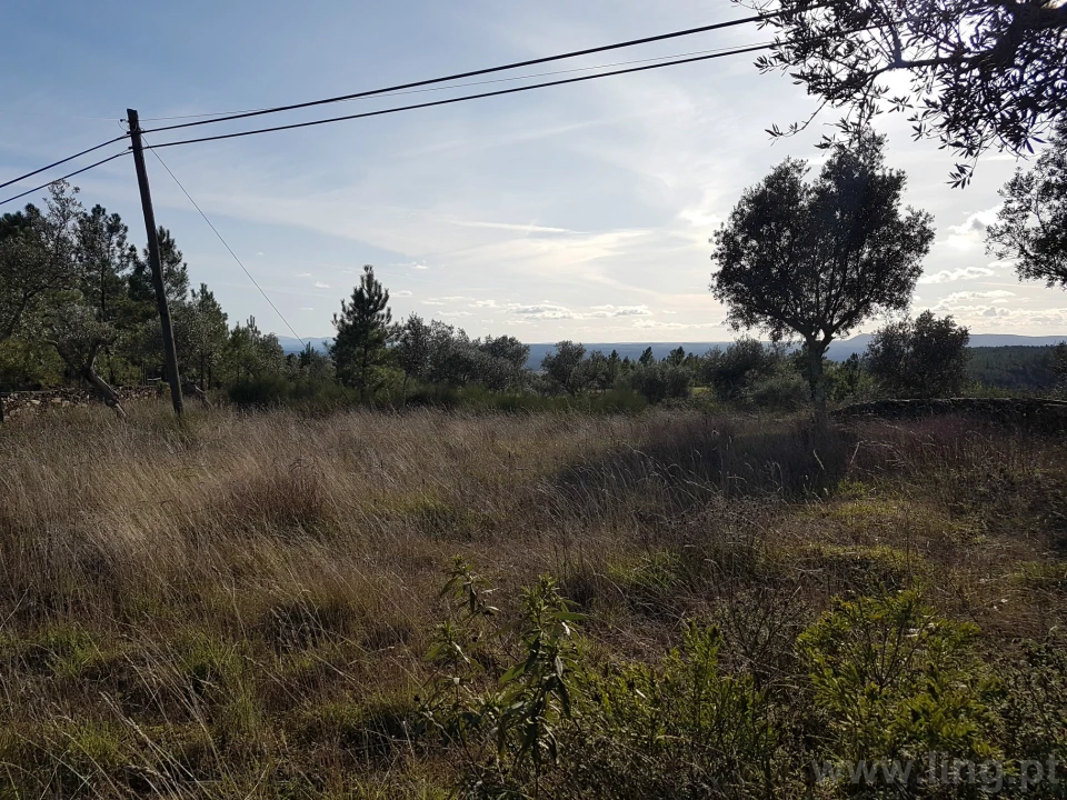Terreno para Venda em Cebolais de Cima e Retaxo Foto 6