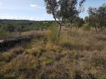 Terreno para Venda em Cebolais de Cima e Retaxo