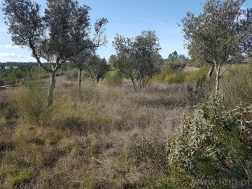 Terreno para Venda em Cebolais de Cima e Retaxo