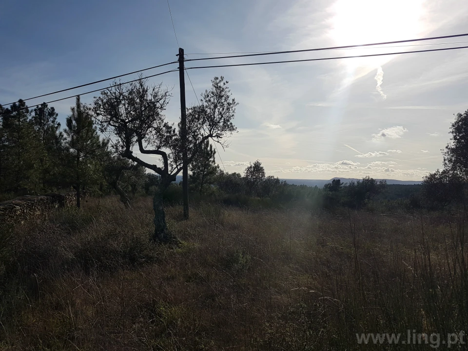 Terreno para Venda em Cebolais de Cima e Retaxo Foto 5