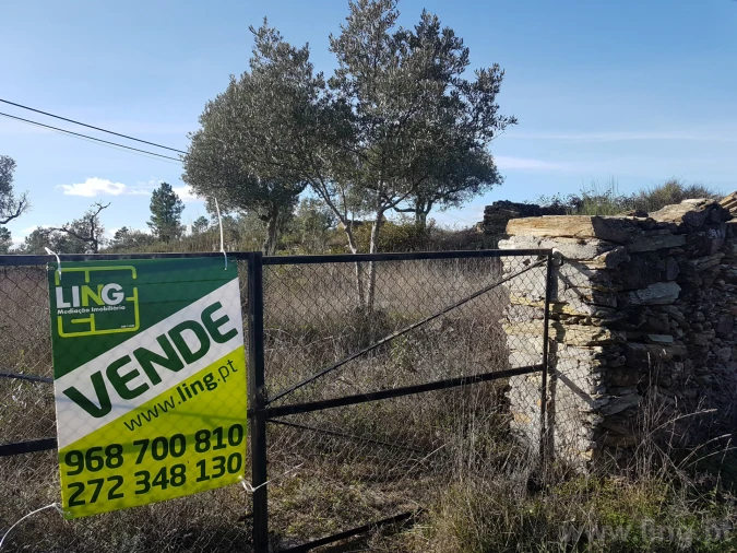 Terreno para Venda em Cebolais de Cima e Retaxo Foto 14