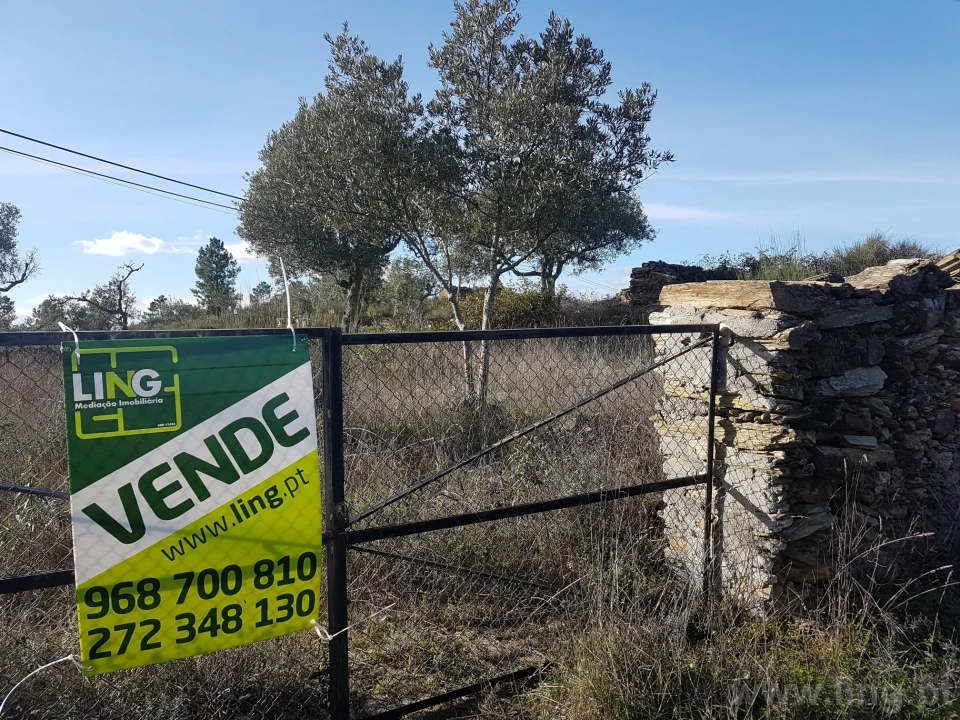 Terreno para Venda em Cebolais de Cima e Retaxo Foto 14