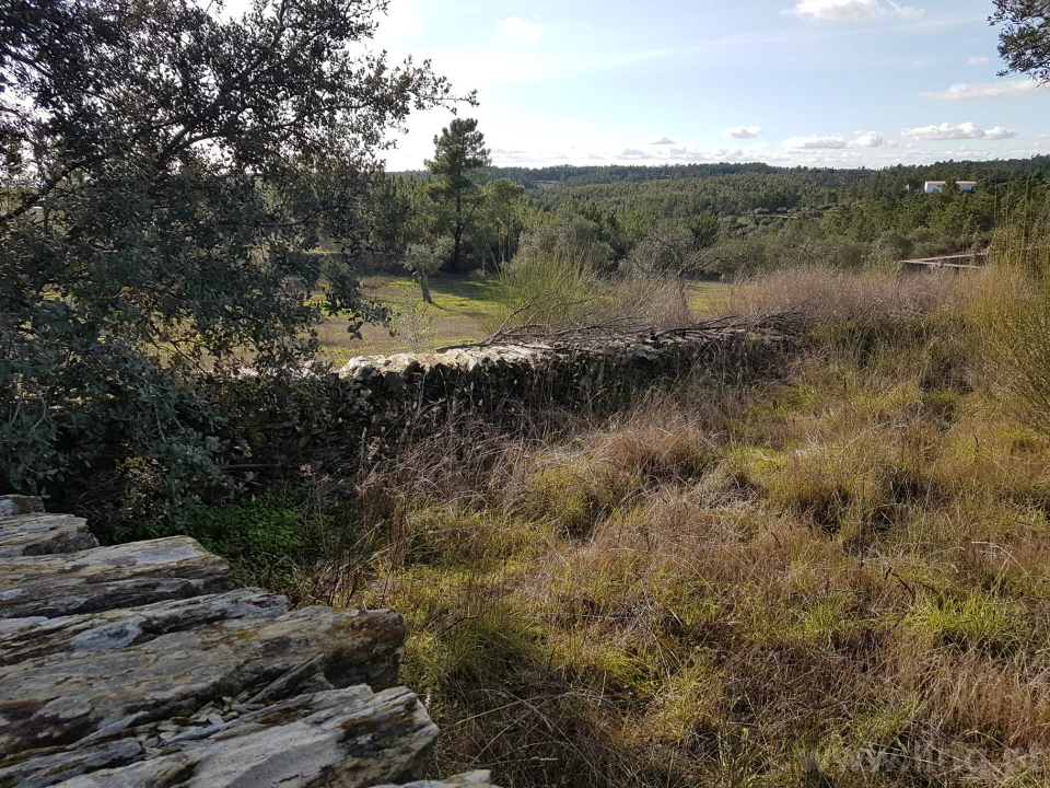 Terreno para Venda em Cebolais de Cima e Retaxo Foto 9