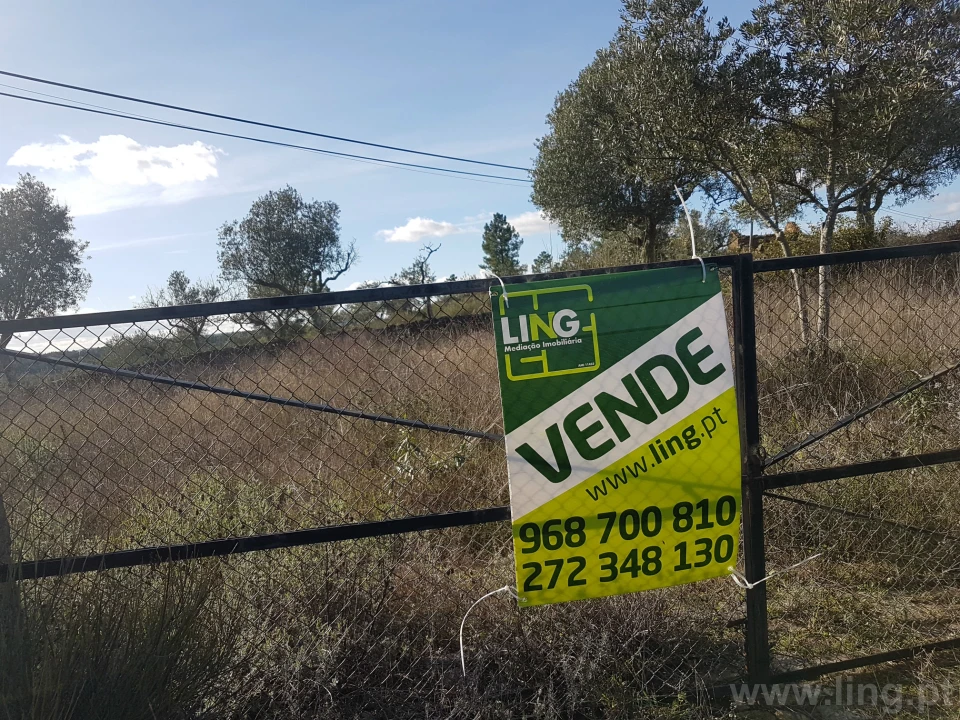 Terreno para Venda em Cebolais de Cima e Retaxo Foto 13