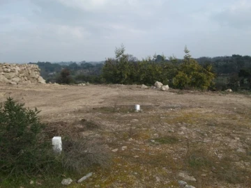 Terreno para Venda em Castelo Branco