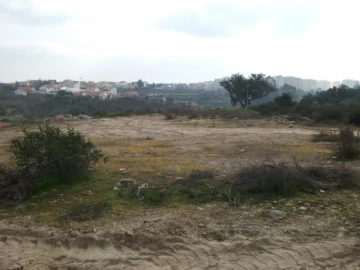 Terreno para Venda em Castelo Branco