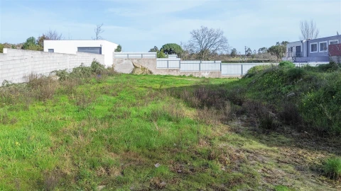 Terreno para Venda em Castelo Branco
