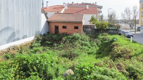 Terreno para Venda em Castelo Branco