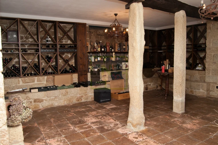 Moradia T9 para Venda em Idanha-A-Nova e Alcafozes Foto 3