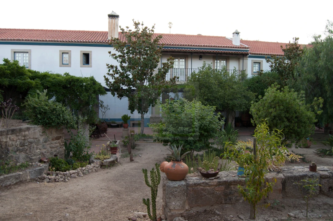 Moradia T9 para Venda em Idanha-A-Nova e Alcafozes Foto 11