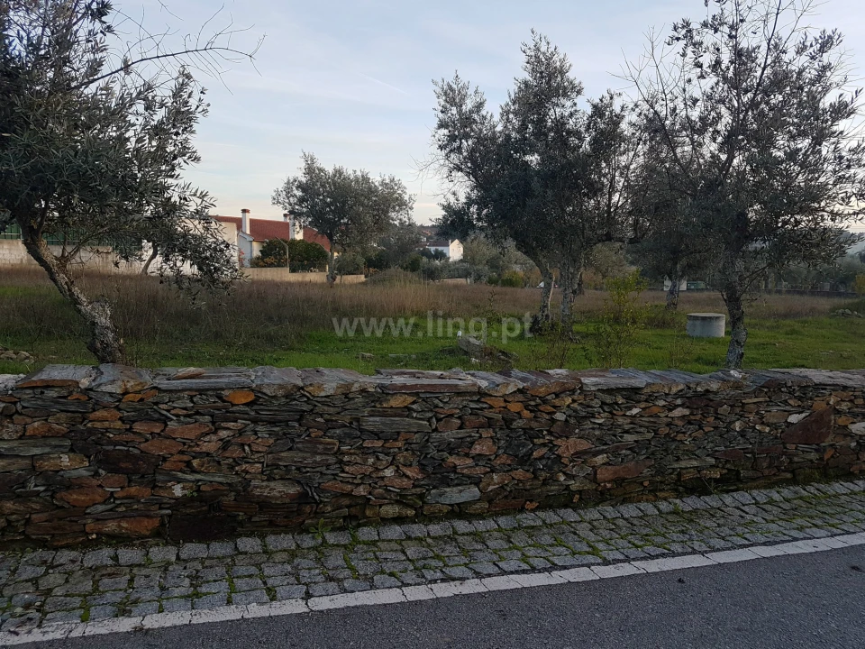 Terreno para Venda em Benquerenças Foto 11