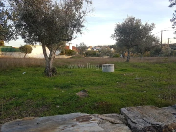 Terreno para Venda em Benquerenças