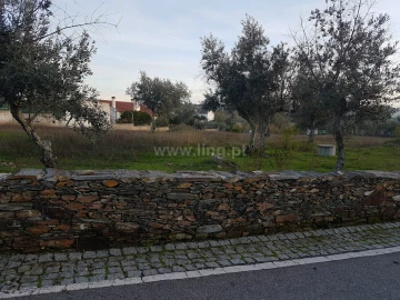 Terreno para Venda em Benquerenças