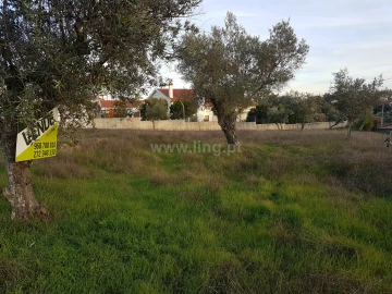 Terreno para Venda em Benquerenças