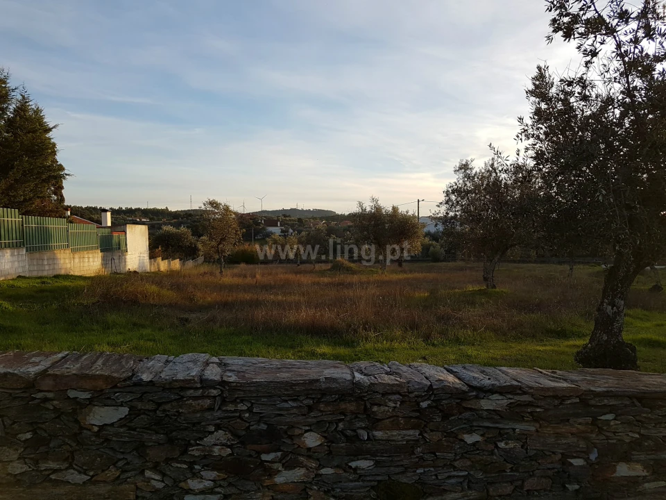 Terreno para Venda em Benquerenças Foto 2