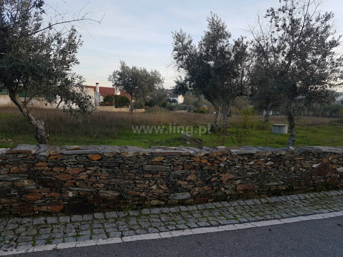 Terreno para Venda em Benquerenças Foto 11