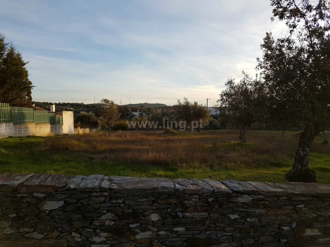 Terreno para Venda em Benquerenças Foto 2