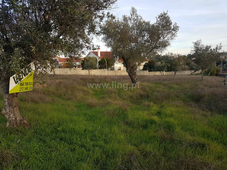 Terreno para Venda em Benquerenças Foto 1