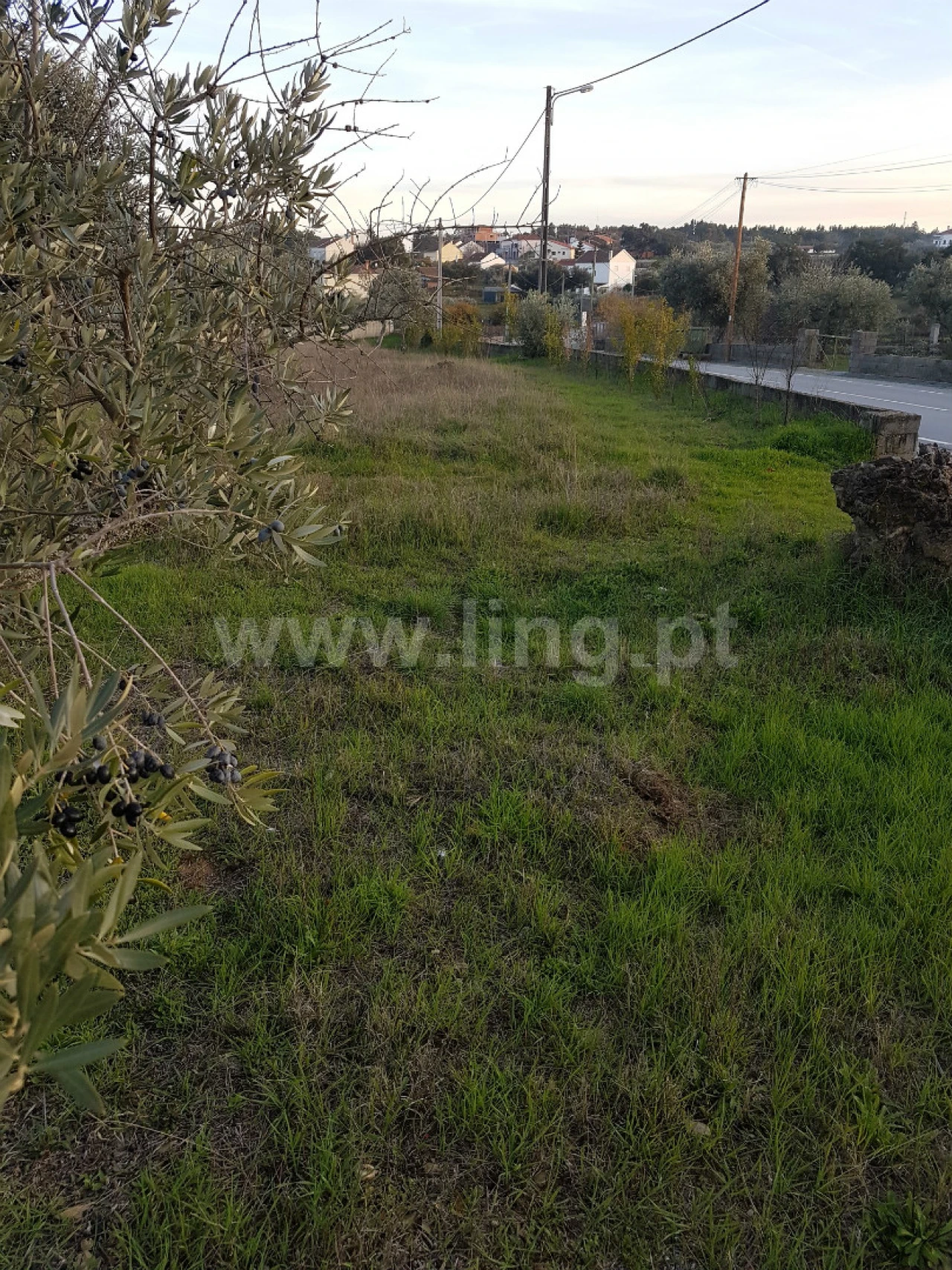 Terreno para Venda em Benquerenças Foto 9