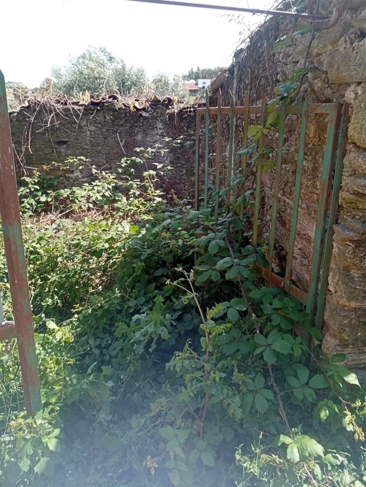 Moradia T0 para Venda em Cebolais de Cima e Retaxo Foto 38