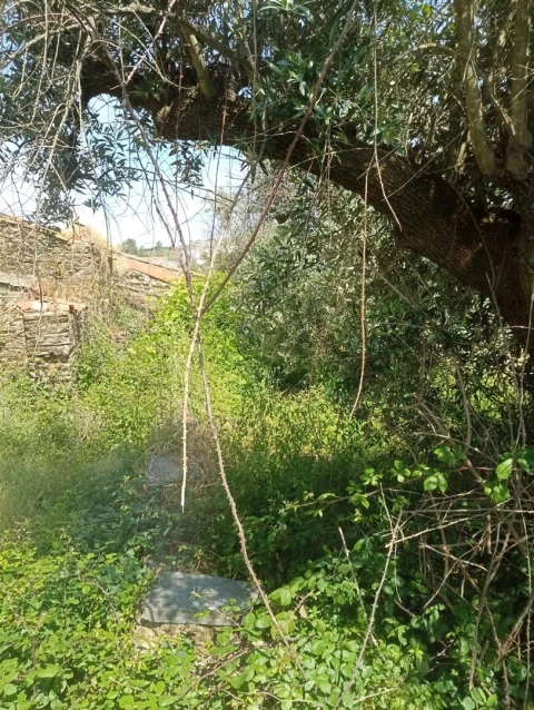 Moradia T0 para Venda em Cebolais de Cima e Retaxo