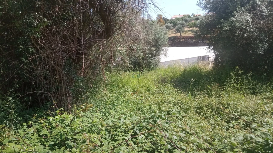 Moradia T0 para Venda em Cebolais de Cima e Retaxo Foto 12