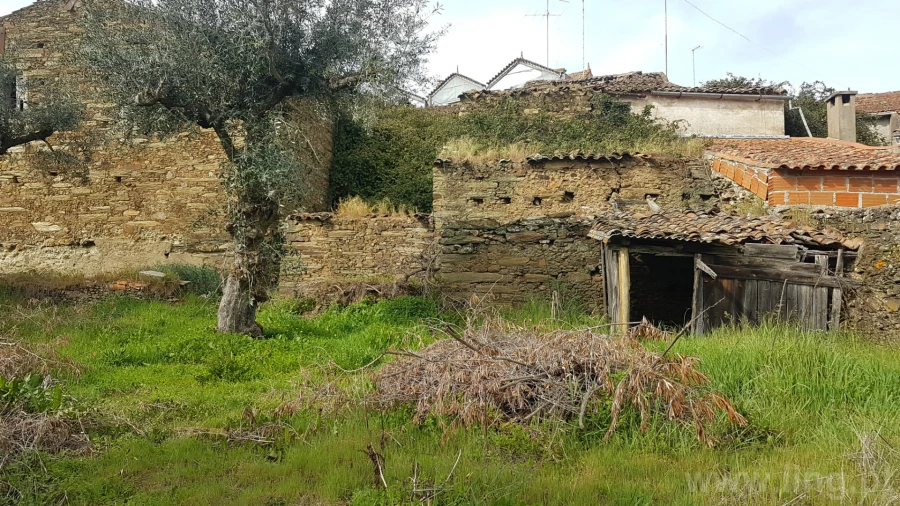 Moradia T0 para Venda em Cebolais de Cima e Retaxo