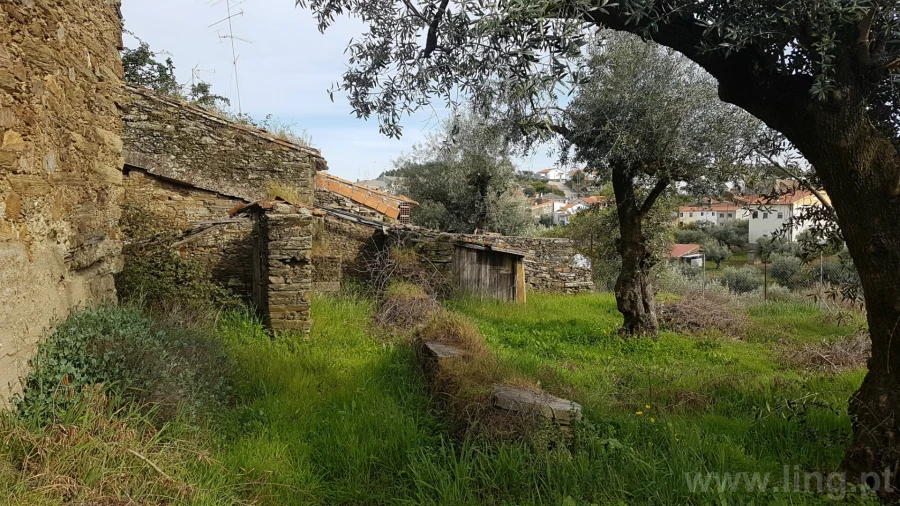 Moradia T0 para Venda em Cebolais de Cima e Retaxo Foto 5