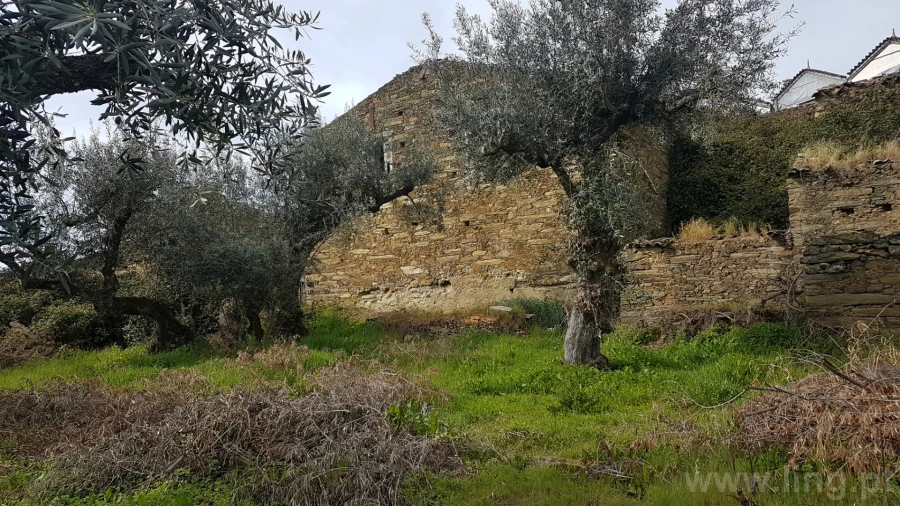 Moradia T0 para Venda em Cebolais de Cima e Retaxo Foto 7