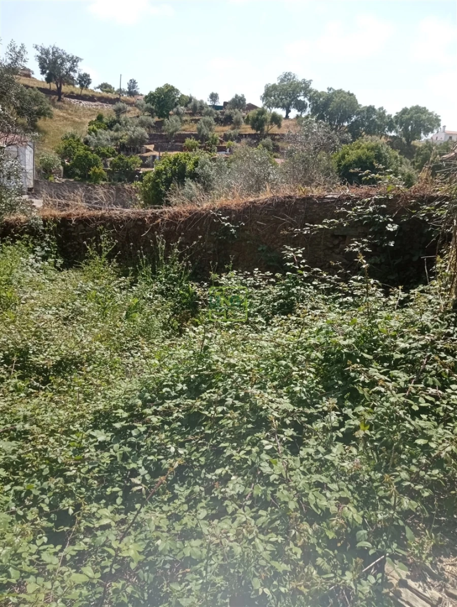 Moradia T0 para Venda em Cebolais de Cima e Retaxo Foto 17