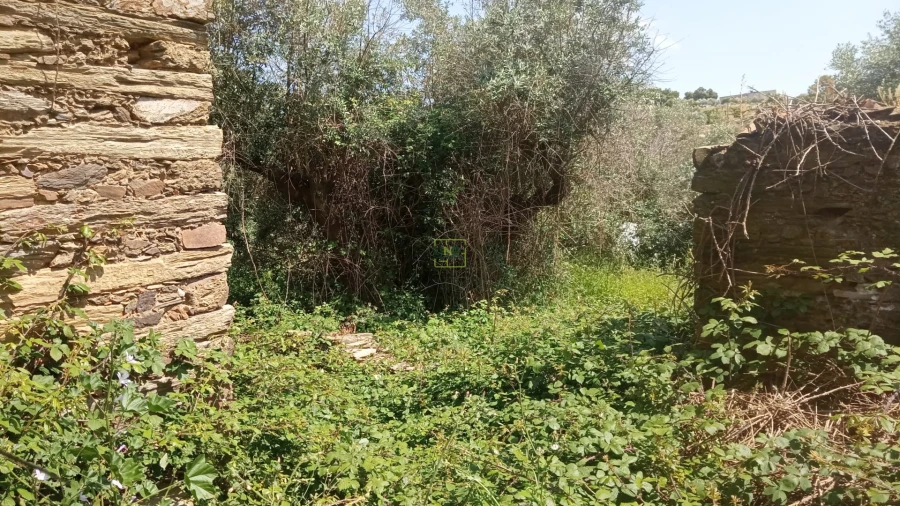 Moradia T0 para Venda em Cebolais de Cima e Retaxo Foto 9