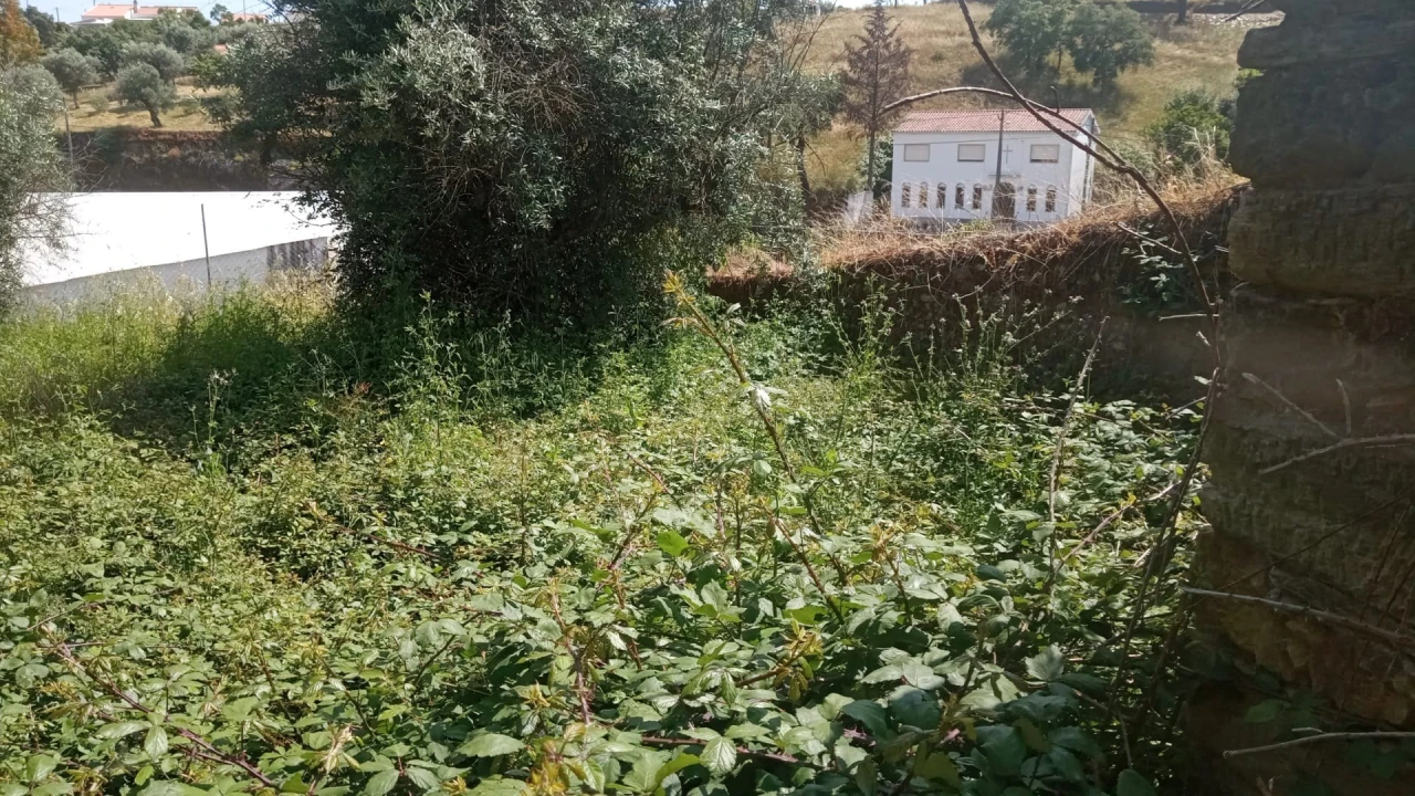 Moradia T0 para Venda em Cebolais de Cima e Retaxo Foto 41