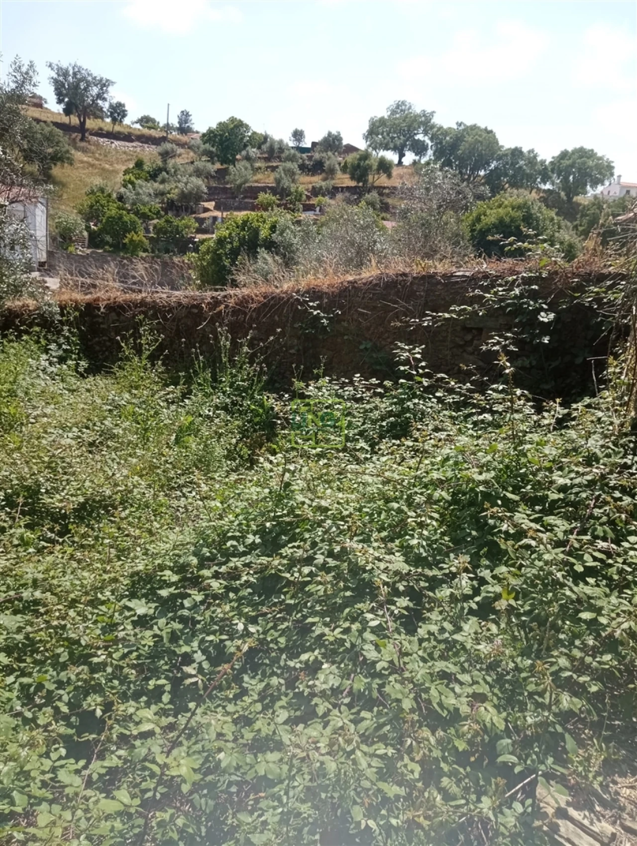 Moradia T0 para Venda em Cebolais de Cima e Retaxo Foto 17