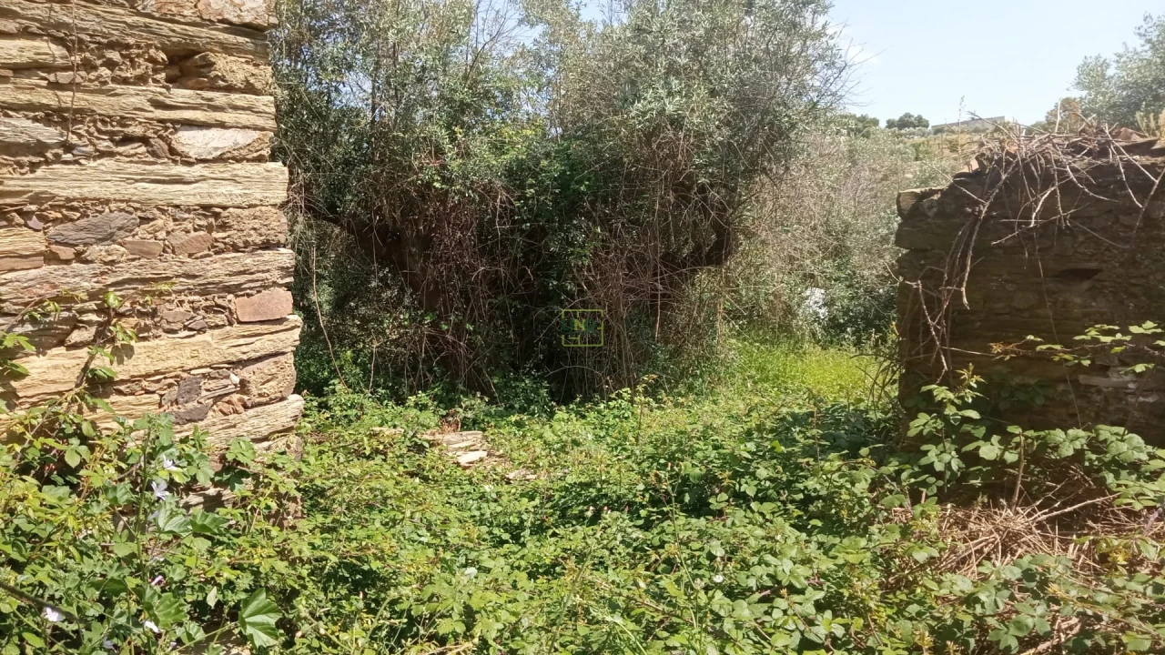 Moradia T0 para Venda em Cebolais de Cima e Retaxo Foto 9