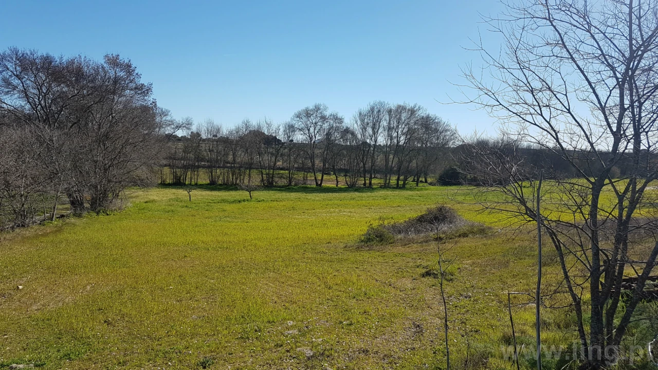Quinta T0 para Venda em Castelo Branco Foto 10