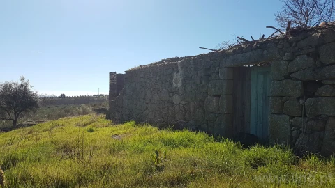 Quinta T0 para Venda em Castelo Branco