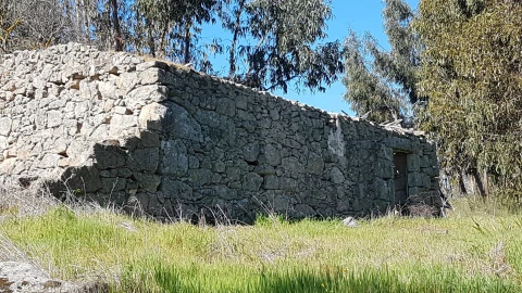 Quinta T0 para Venda em Castelo Branco