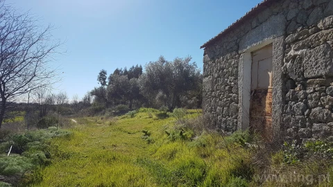 Quinta T0 para Venda em Castelo Branco
