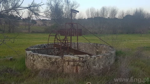 Quinta T0 para Venda em Castelo Branco