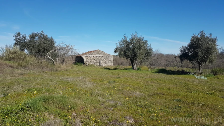 Quinta T0 para Venda em Castelo Branco Foto 8